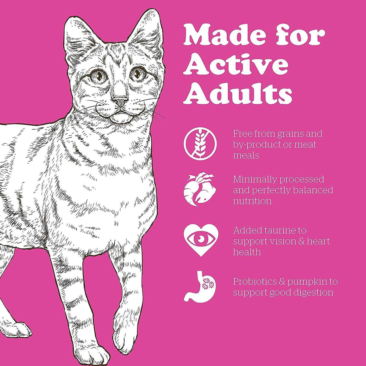 Grain-Free Adult Dry Cat Food B617