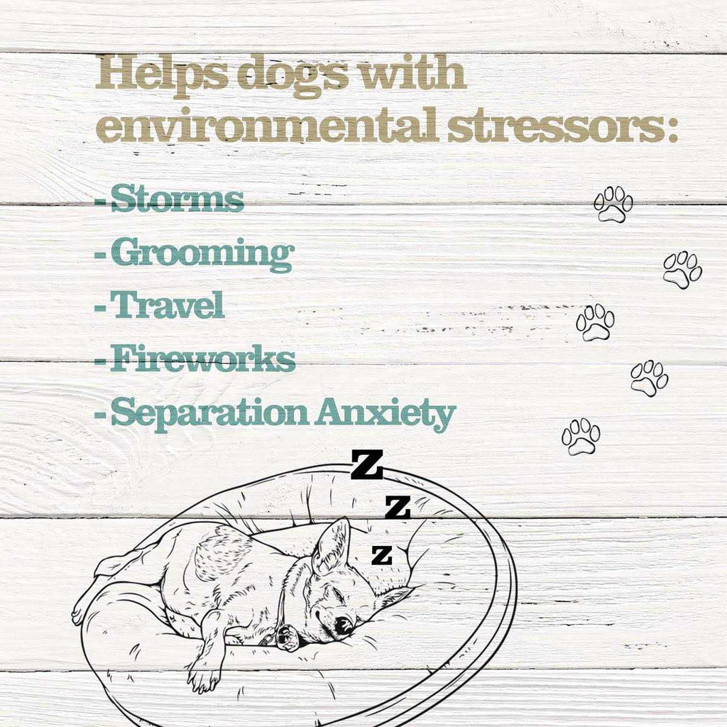 Calming Treats for Dogs G57051