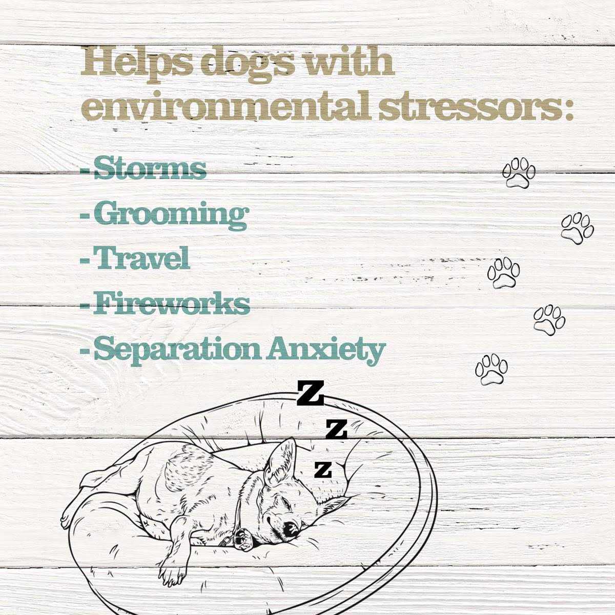 Calming Treats for Dogs G57051