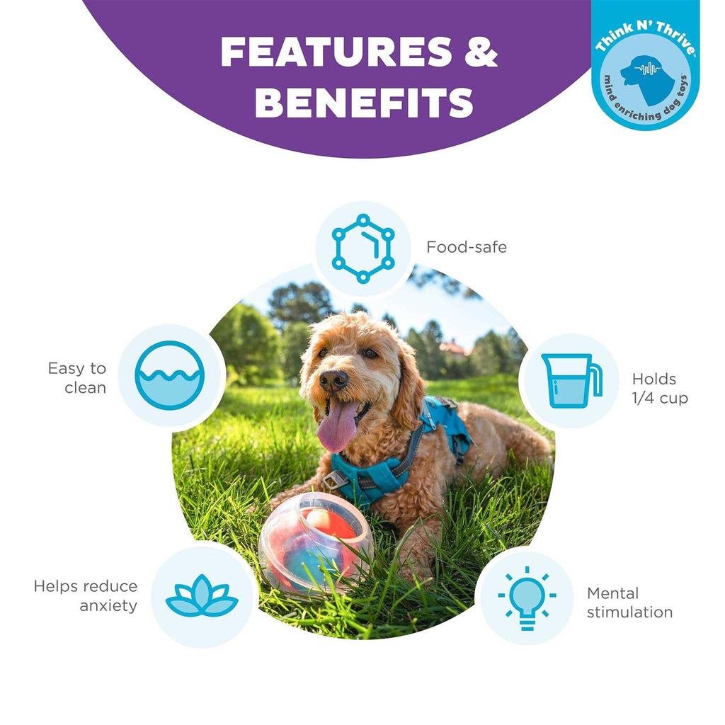 Interactive Ball Dog Toy K97993