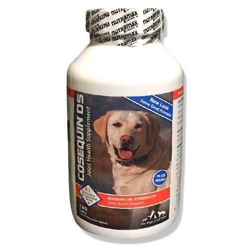 Cosequin DS Plus MSM for Dogs B31724