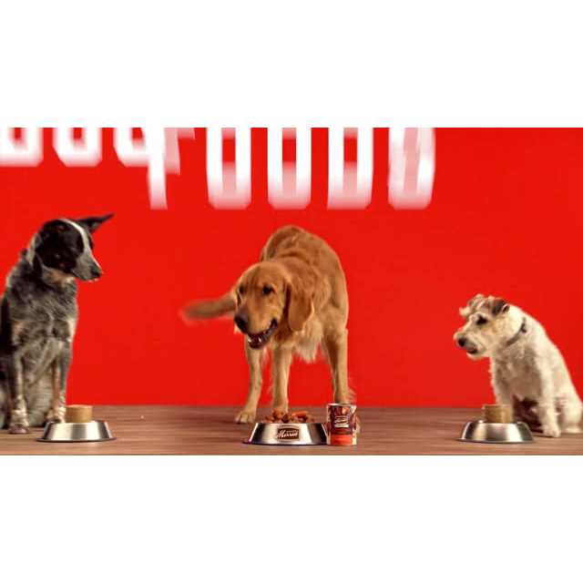 Grain Free Real Beef Canned Dog Food Q83614
