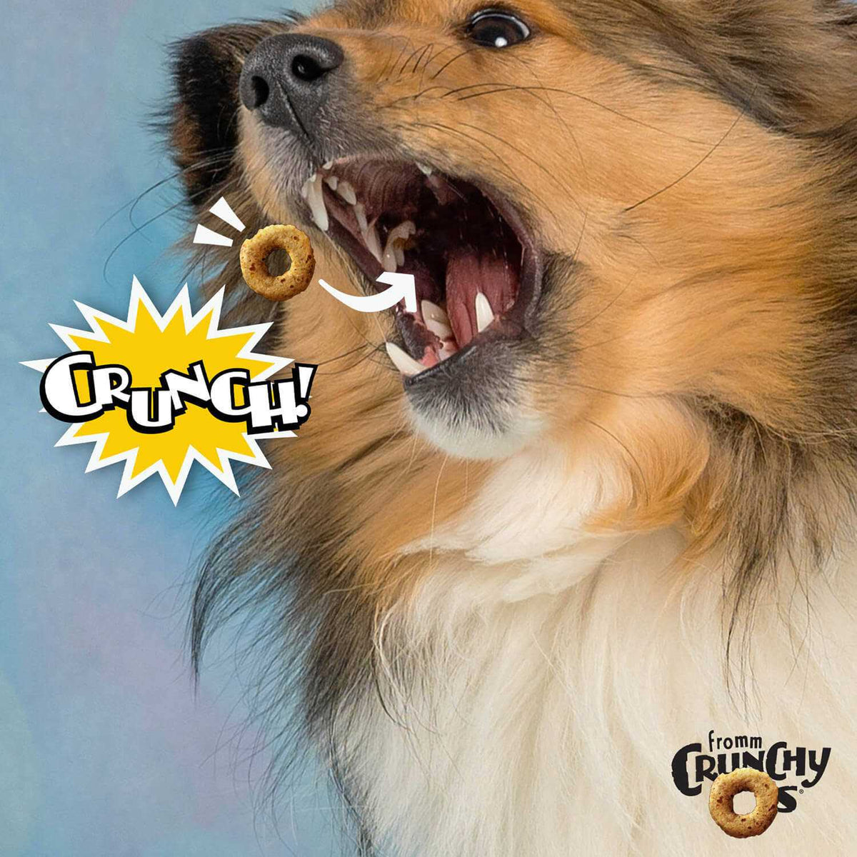 Dog Treats P388