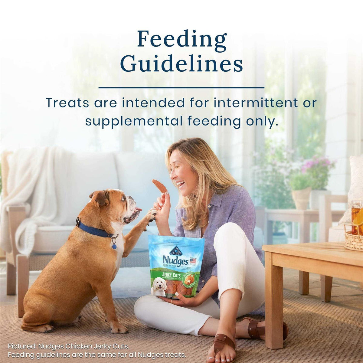 Natural Dog Treats H49641