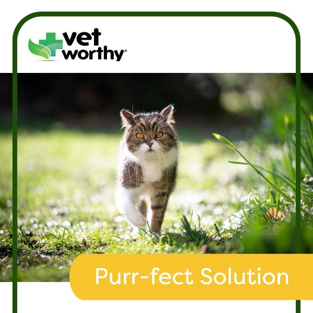 Urinary Aid Soft Chews for Cats Q896036