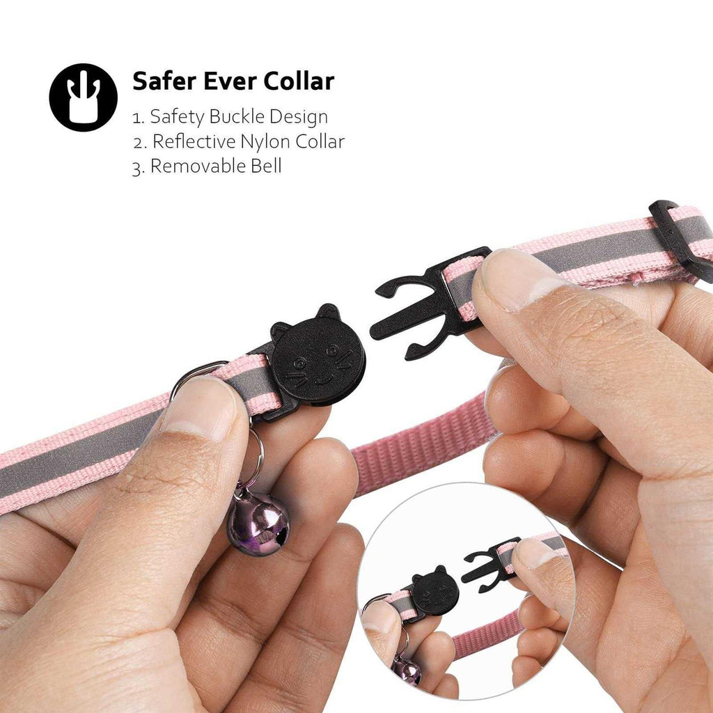 Breakaway Cat Collar with Air Tag Case I228