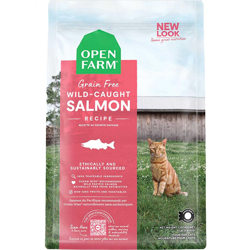 Wild-Caught Salmon Grain-Free Dry Cat Food O73089