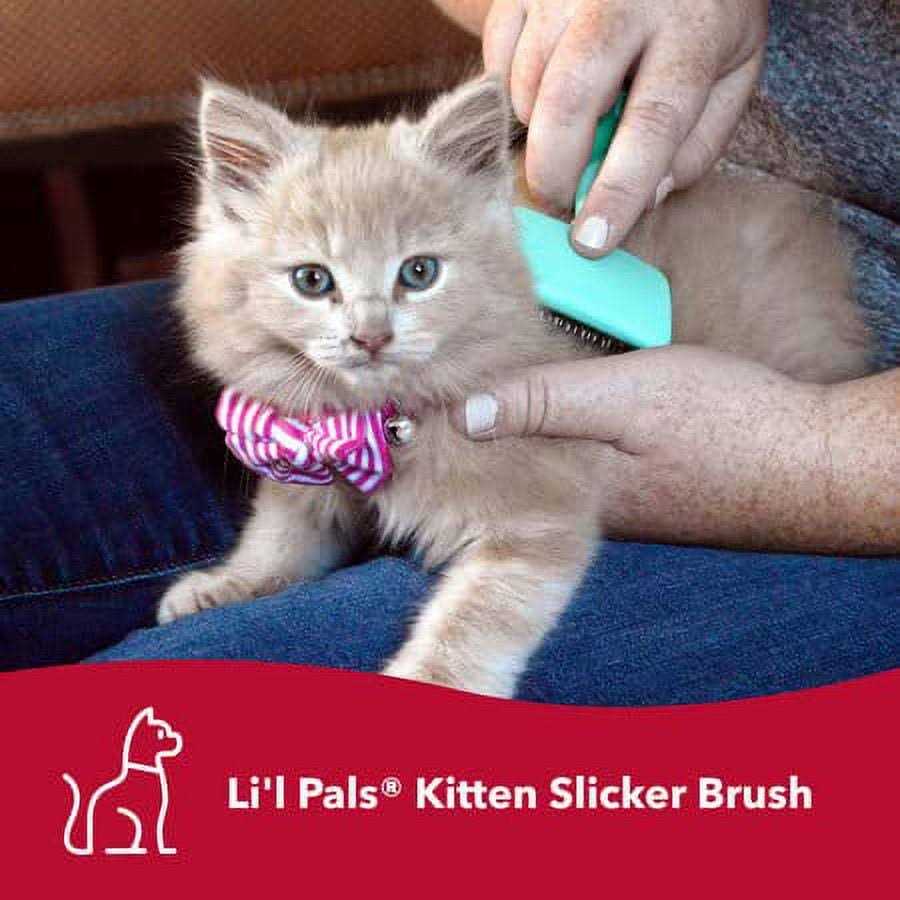 Kitten Slicker Brush with Coated Tips T70308