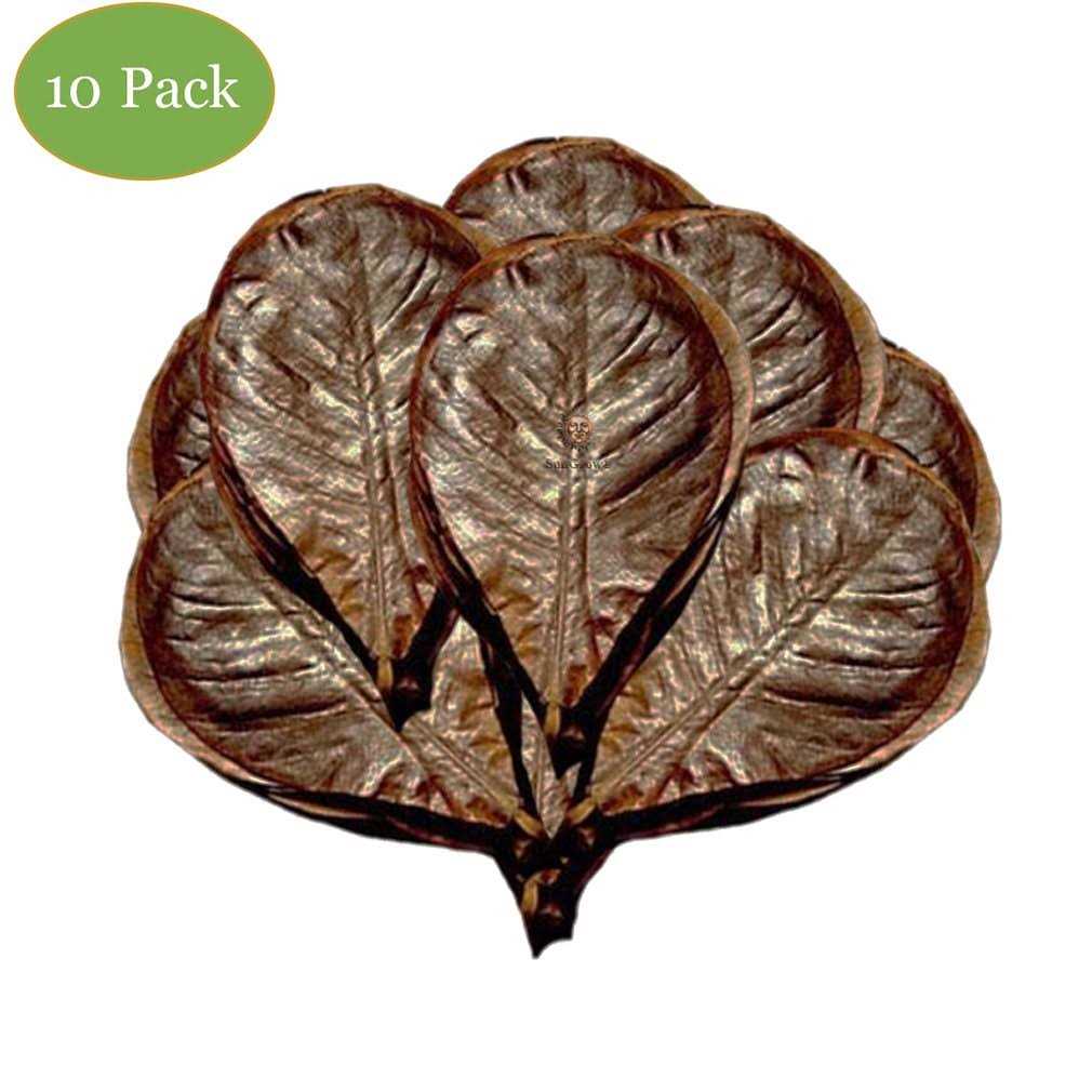 Hermit Crab & Snail Catappa Leaves P164