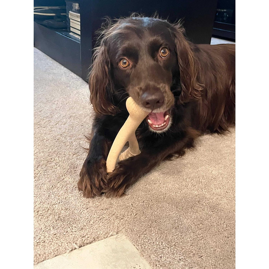 Tough Dog Chew Beef U846