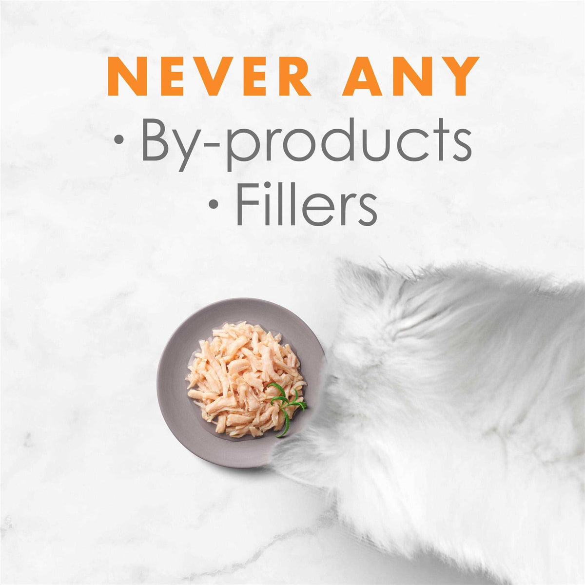 White Meat Chicken Broth Wet Cat Food B904048