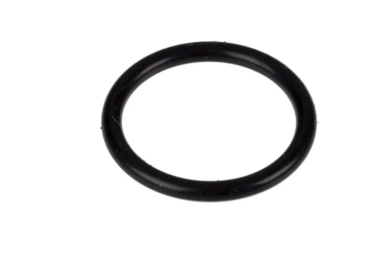 Diffuser O-Ring E697