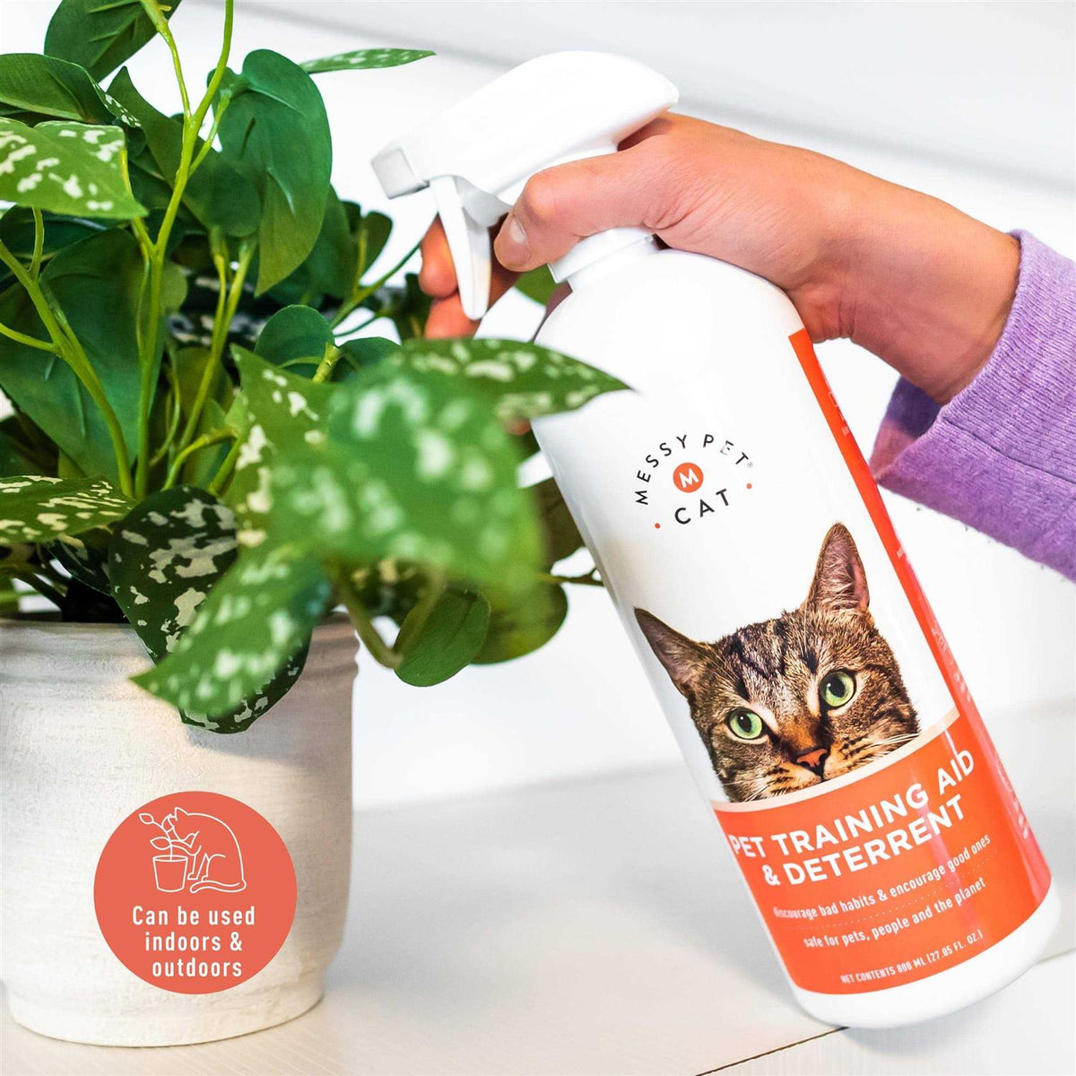 Pet Training Deterrent Spray Bottle Z264