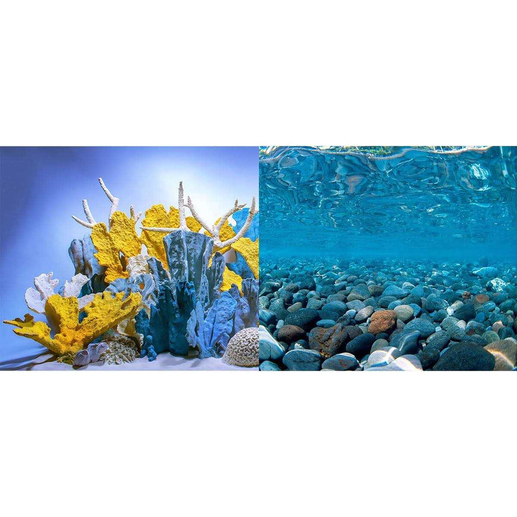 River Rock/Coral Bliss Background N237