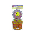 Stick-on Earrings Pack of 24 X918090