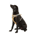 Lightweight Dog Harness D8494