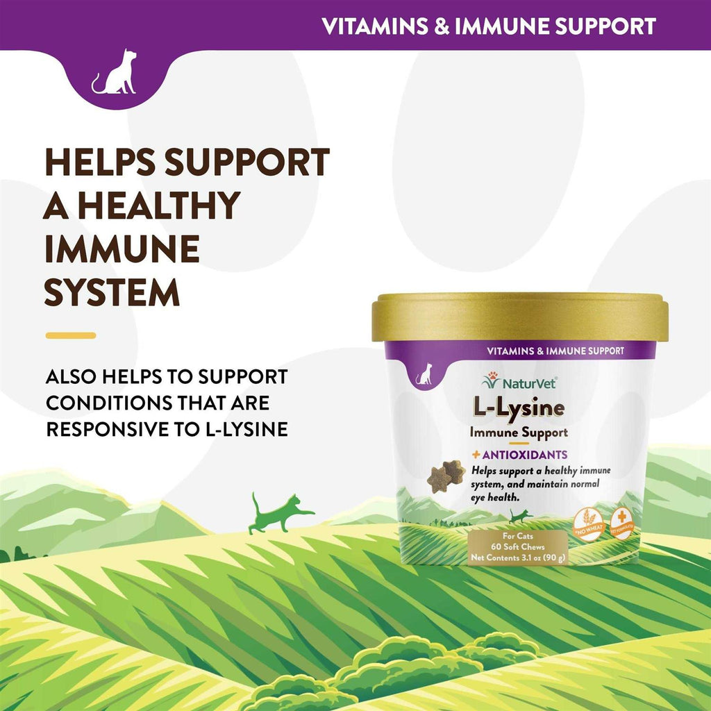 L-Lysine Immune Support Plus Antioxidants U574081