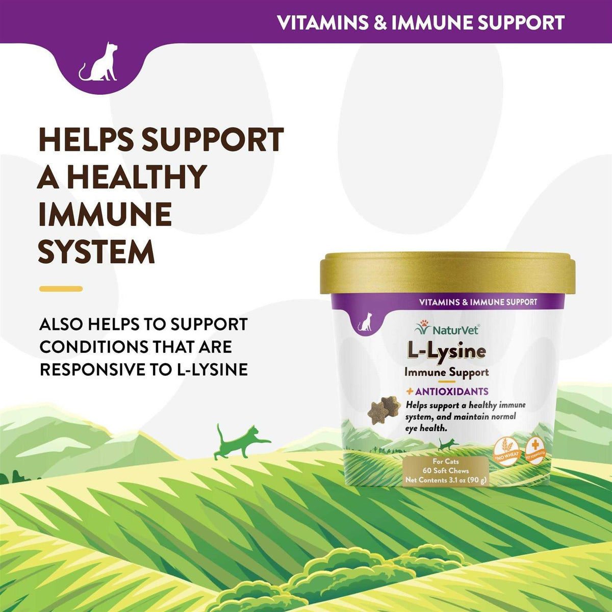 L-Lysine Immune Support Plus Antioxidants U574081