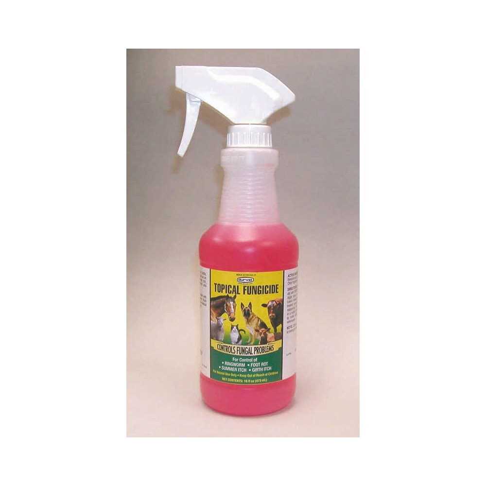 Topical Fungicide B83468