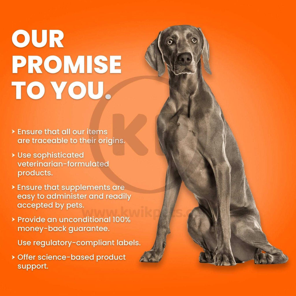 Fish Oil Softgels for Dogs N212