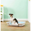 Dog Litter Box C376