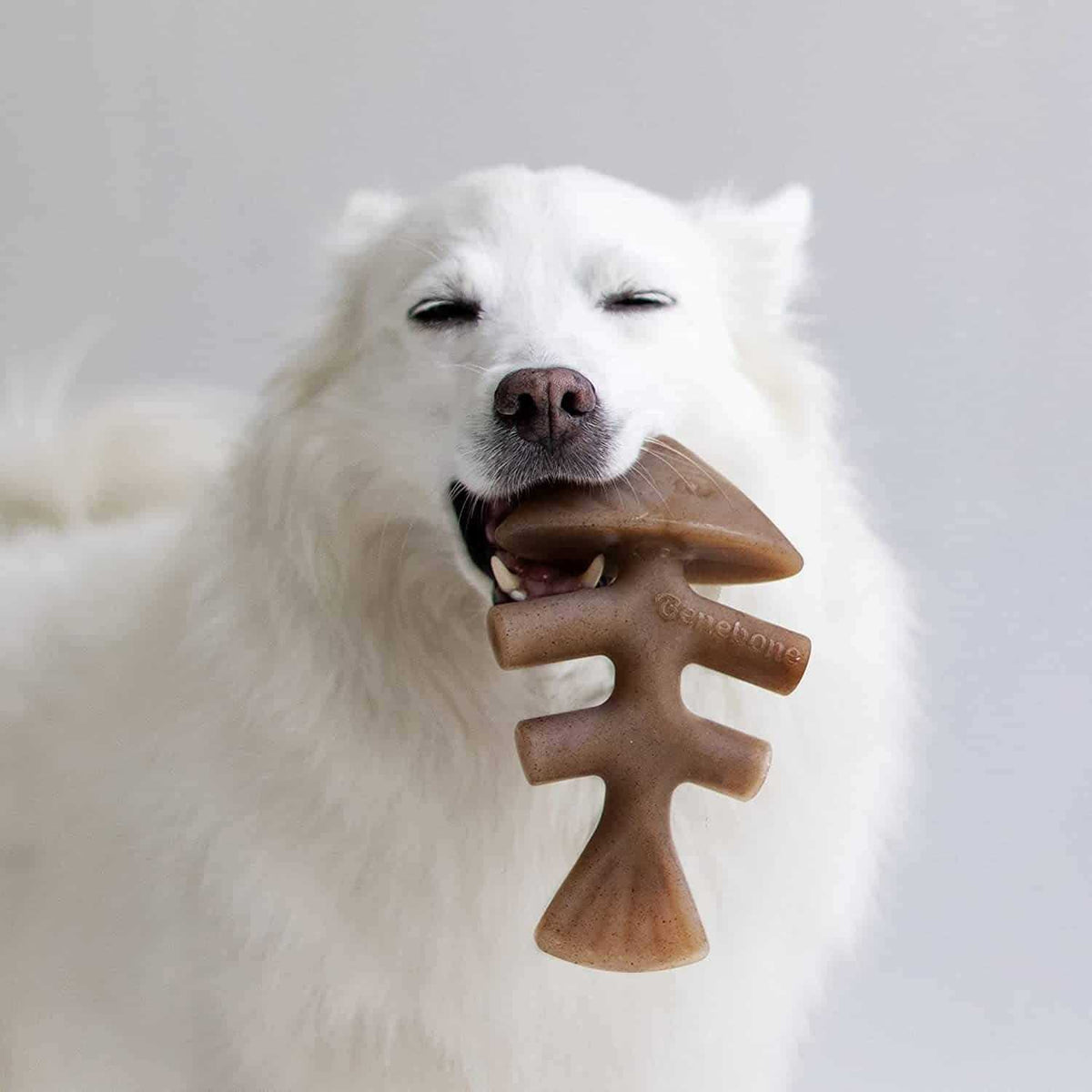 Fishbone Dog Chew T858