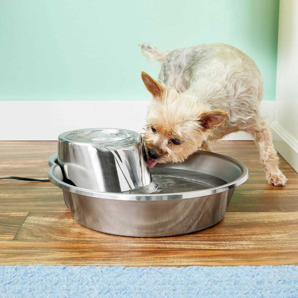 Stainless Steel Fountain C943