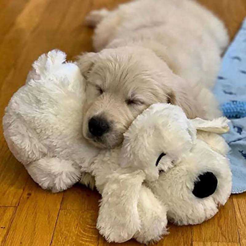 2 in 1 Interactive Plush Dog Toy L41286
