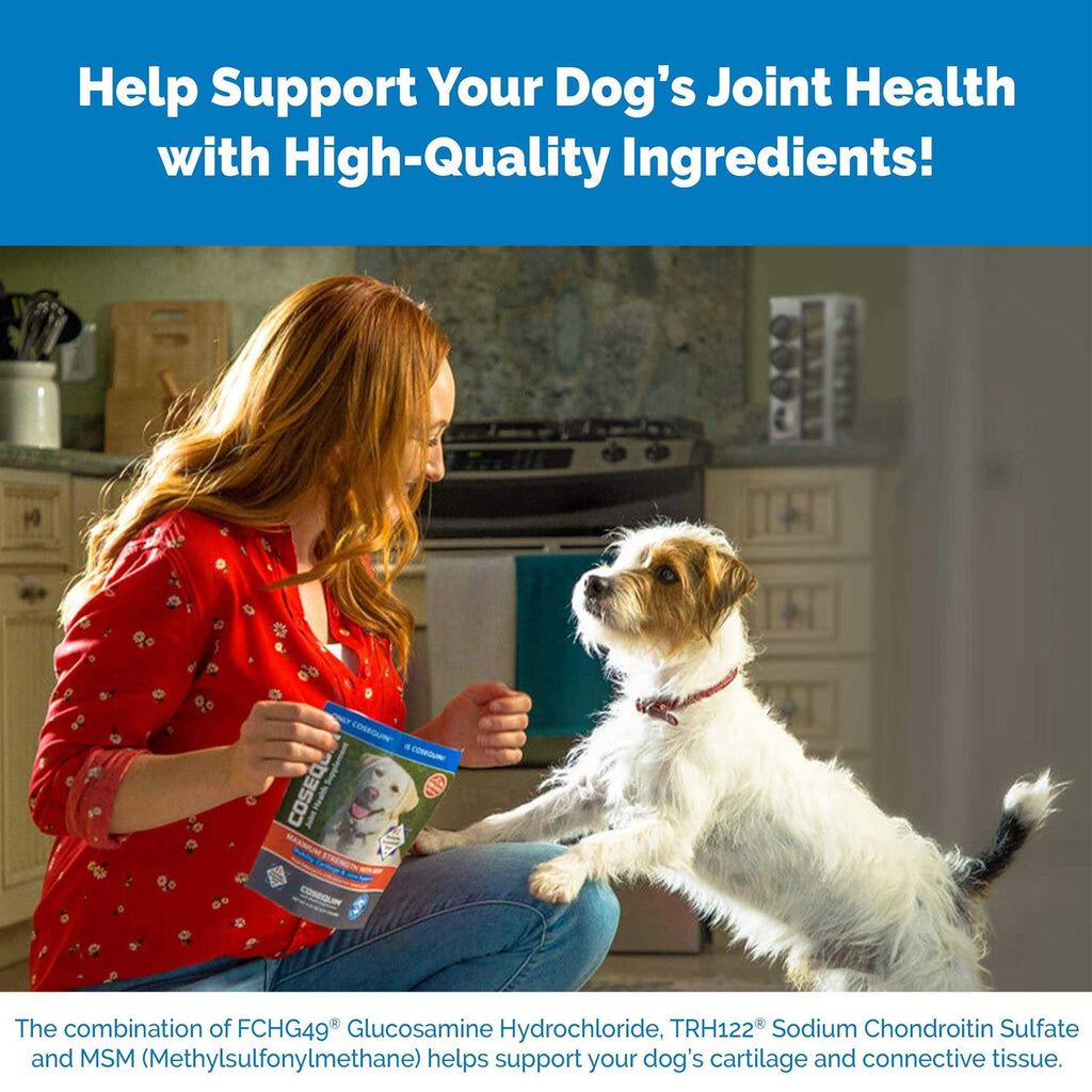 Cosequin DS Plus MSM for Dogs B31724