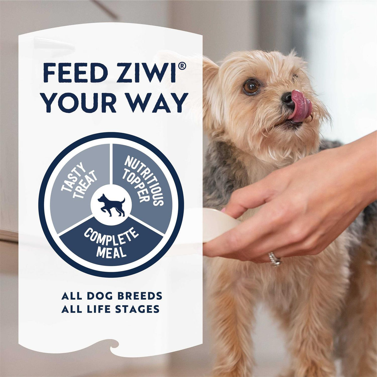 Air Dried Chicken Dog Food J34856