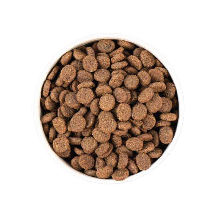 Smoked Salmon with Ancient Grains Dry Dog Food G1739