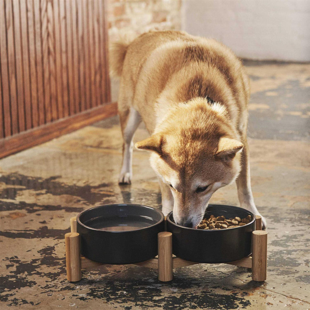 Black Ceramic Elevated Double Diner Pet Bowl T9974