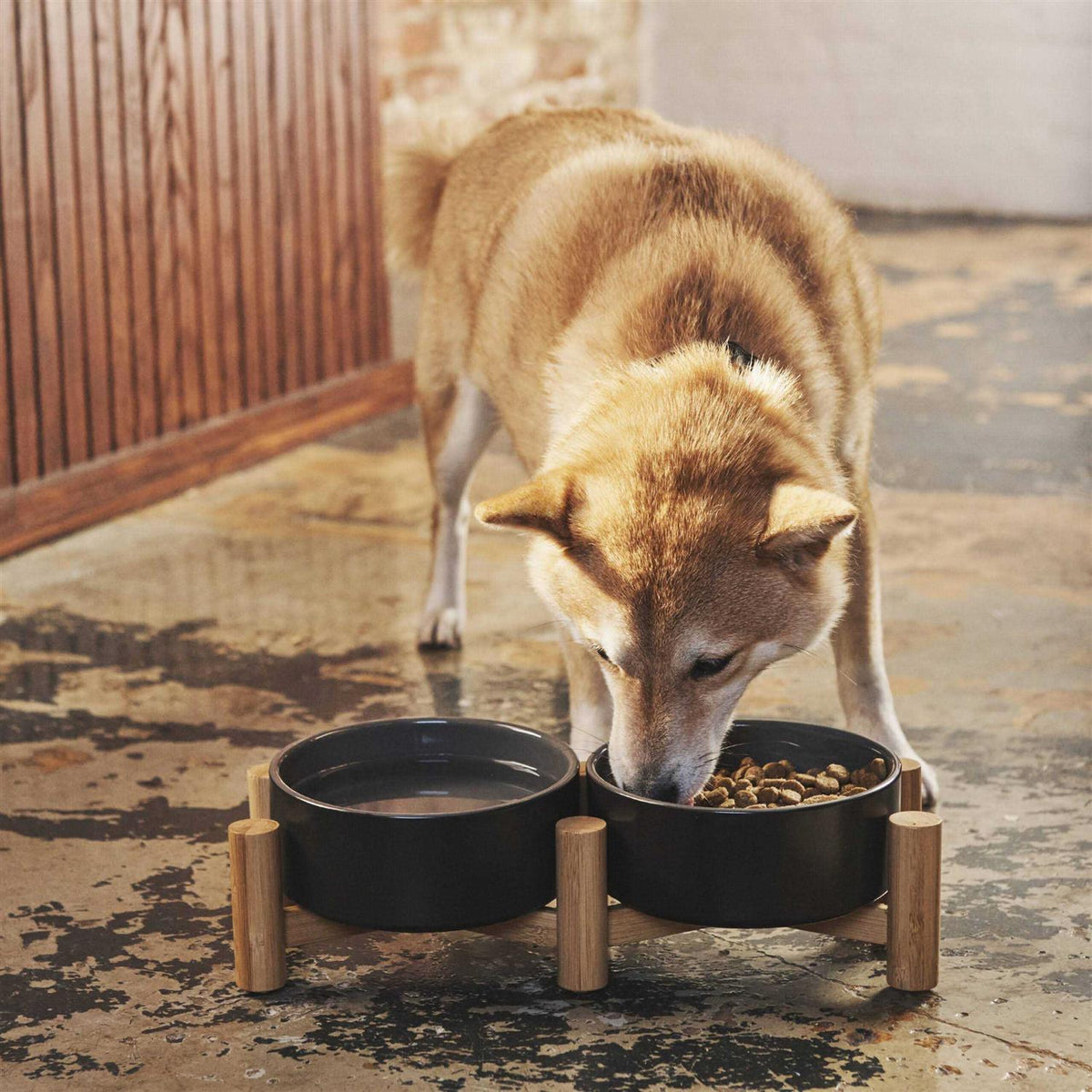 Black Ceramic Elevated Double Diner Pet Bowl T9974