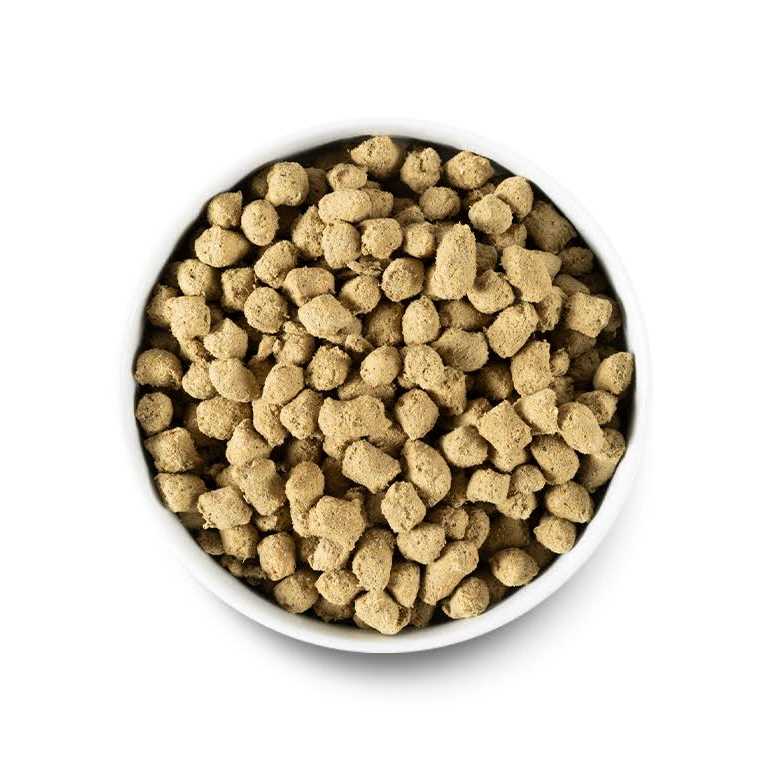 Freeze Dried Raw Dog Food Y2498