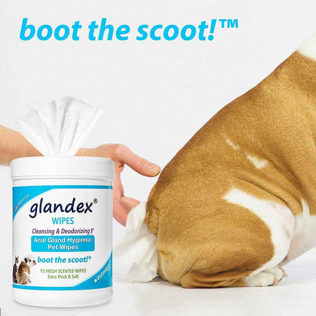 Hygienic Pet Wipes H67104
