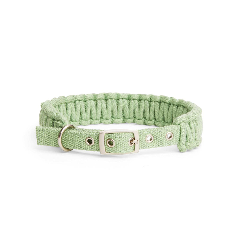 Macrame Dog Collar O483418