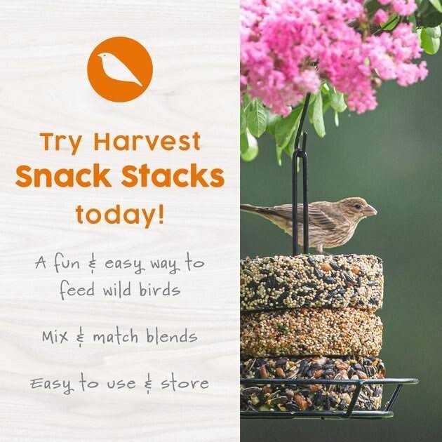 Mealworm Snack Stack Wild Bird Food Q710