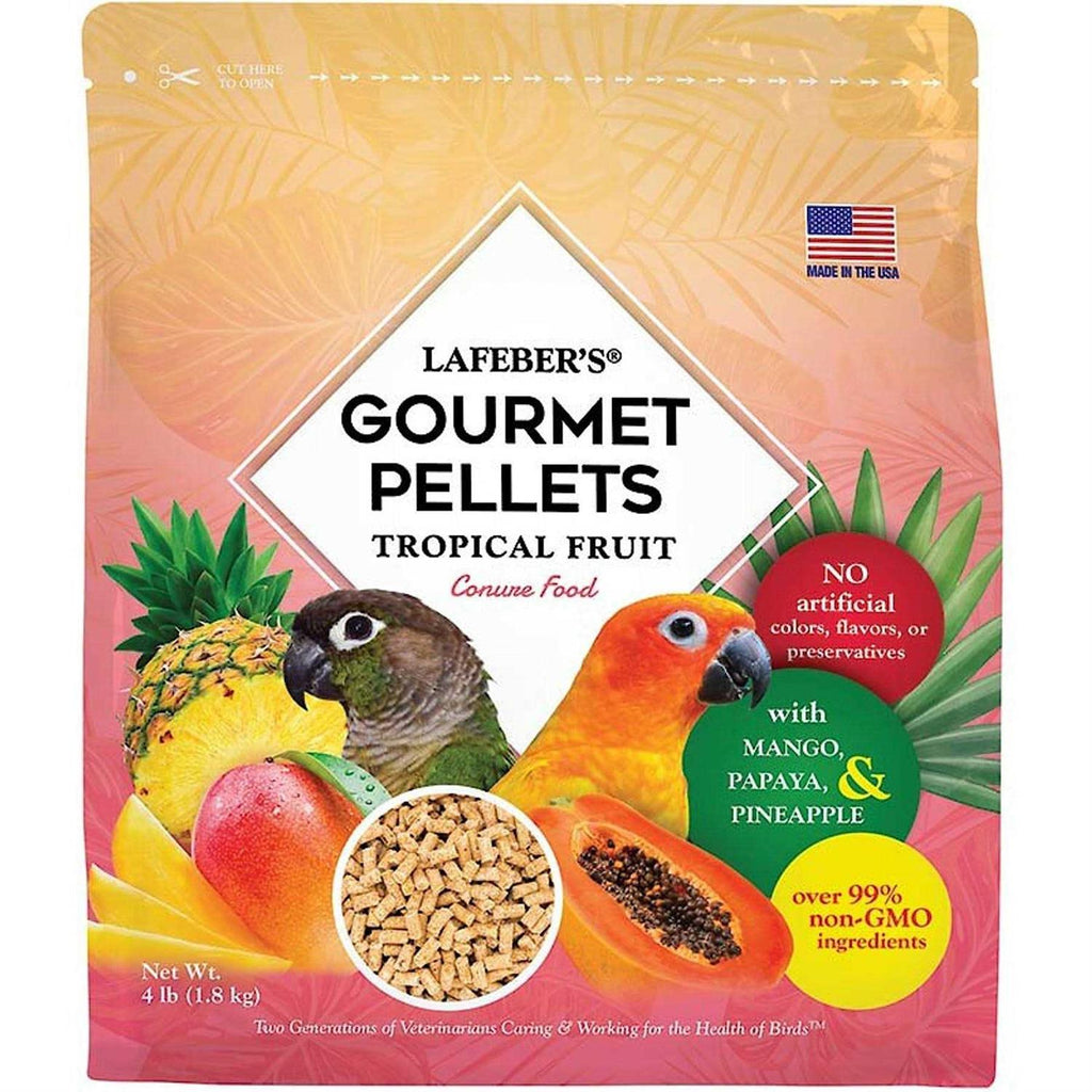 Tropical Fruit Bird Food H8349