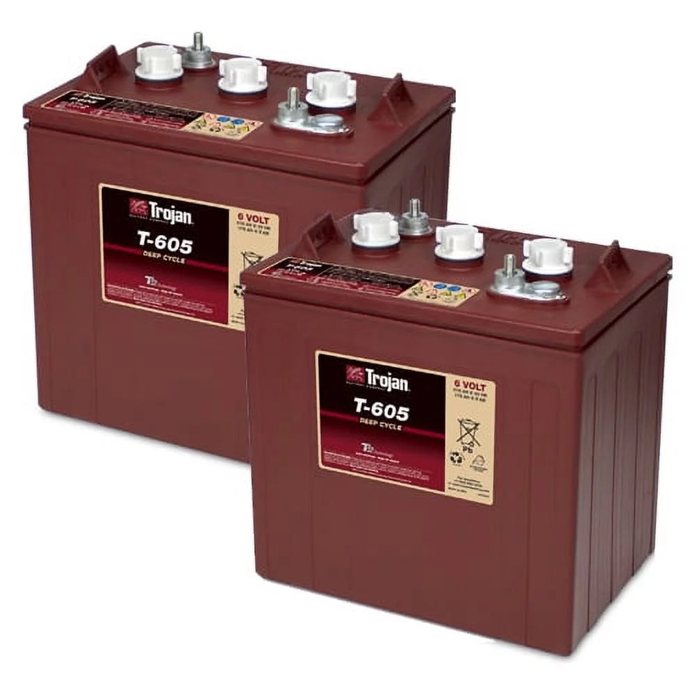 6 Volt 210 AH Deep Cycle Battery 2 Pack F6716