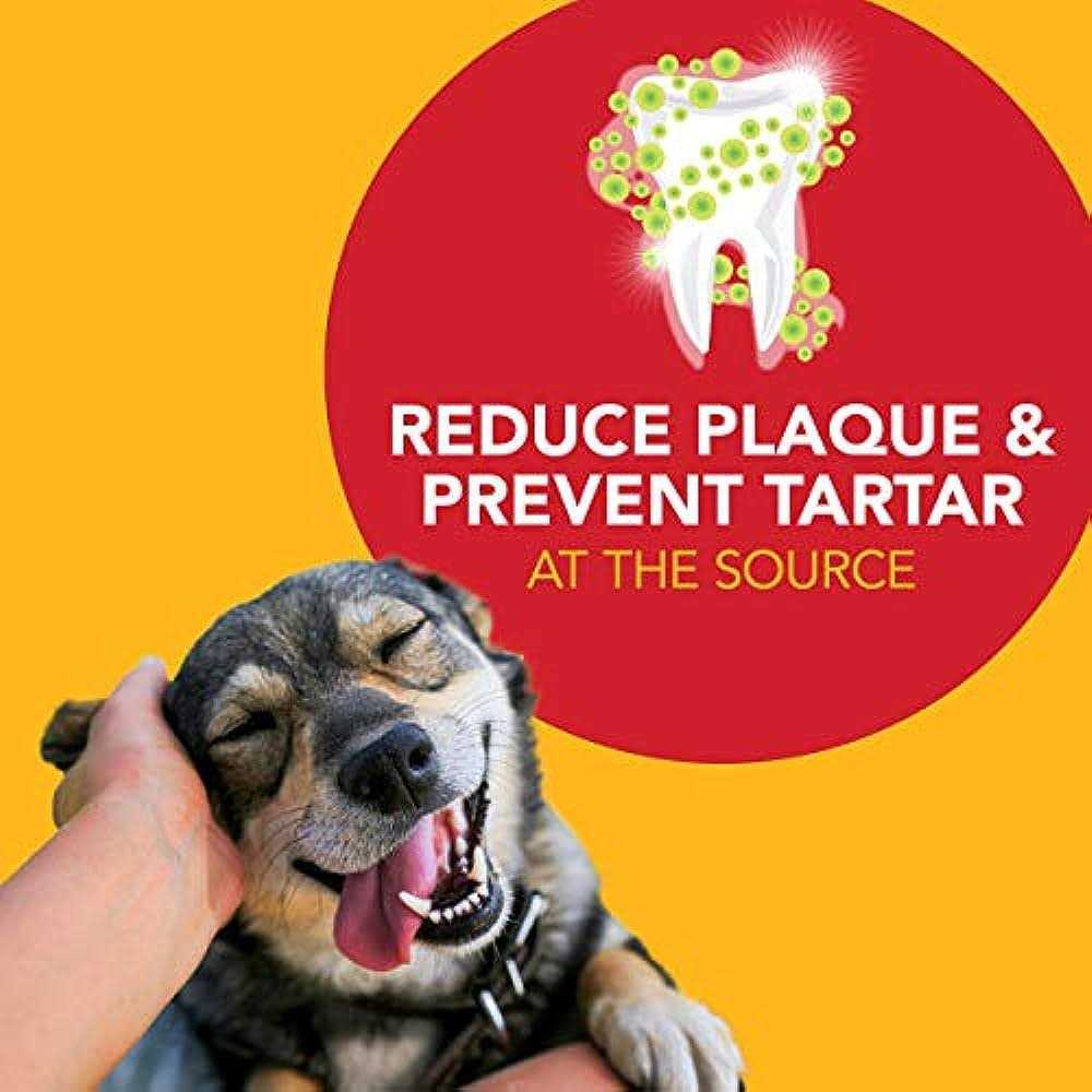 Natural Toothpaste for Dogs F9846