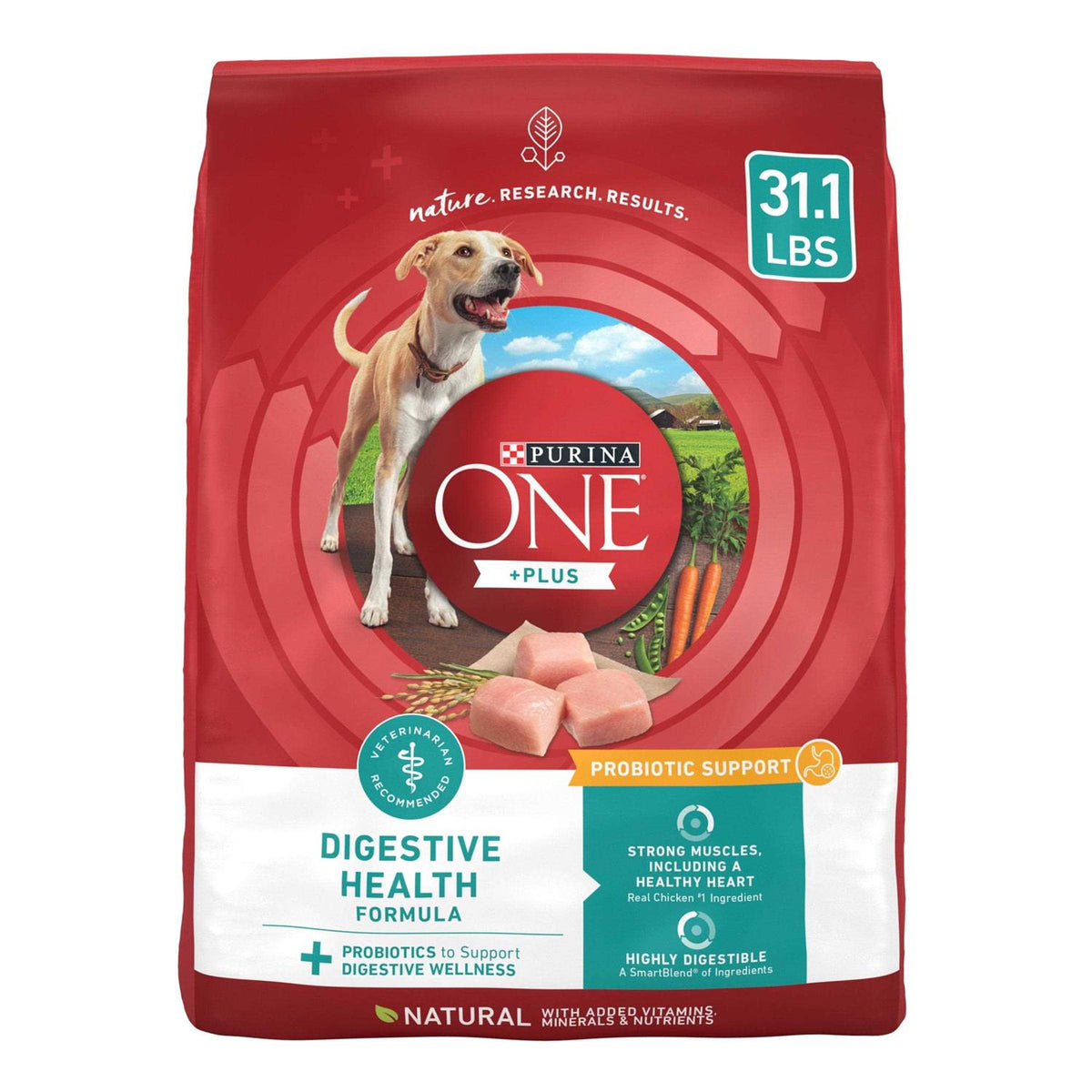 Dry Dog Food B40402