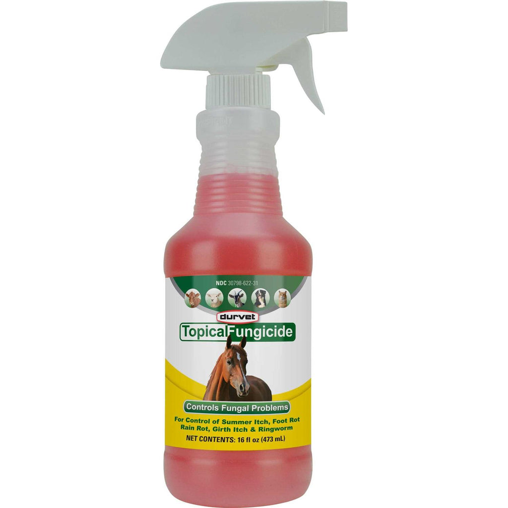 Topical Fungicide B83468