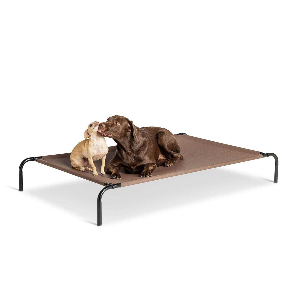 Elevated Dog Bed H112536
