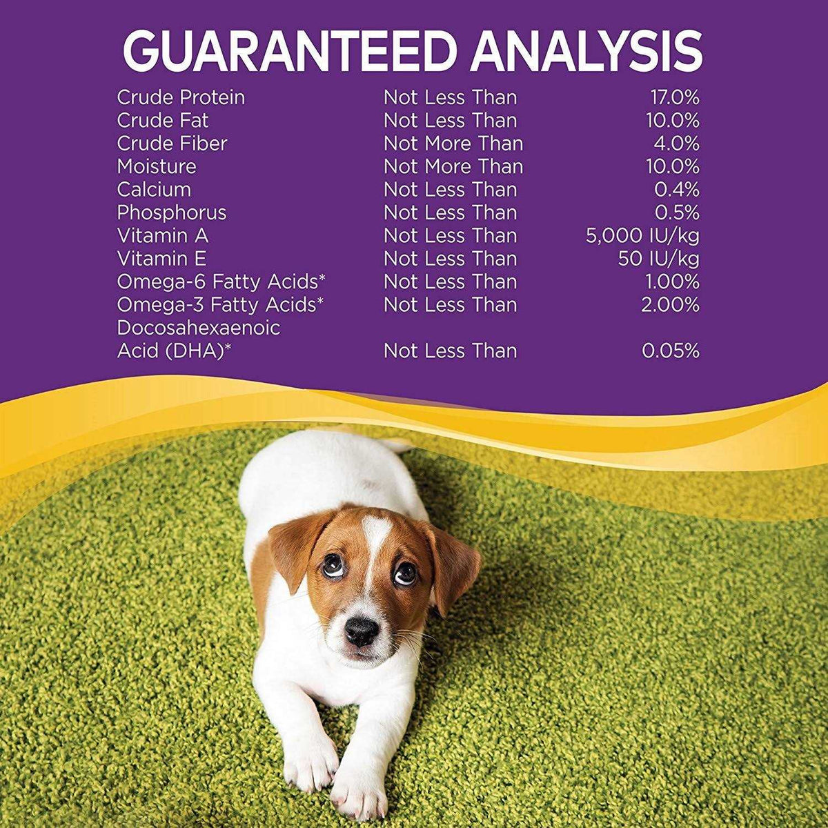Dog Treats F955