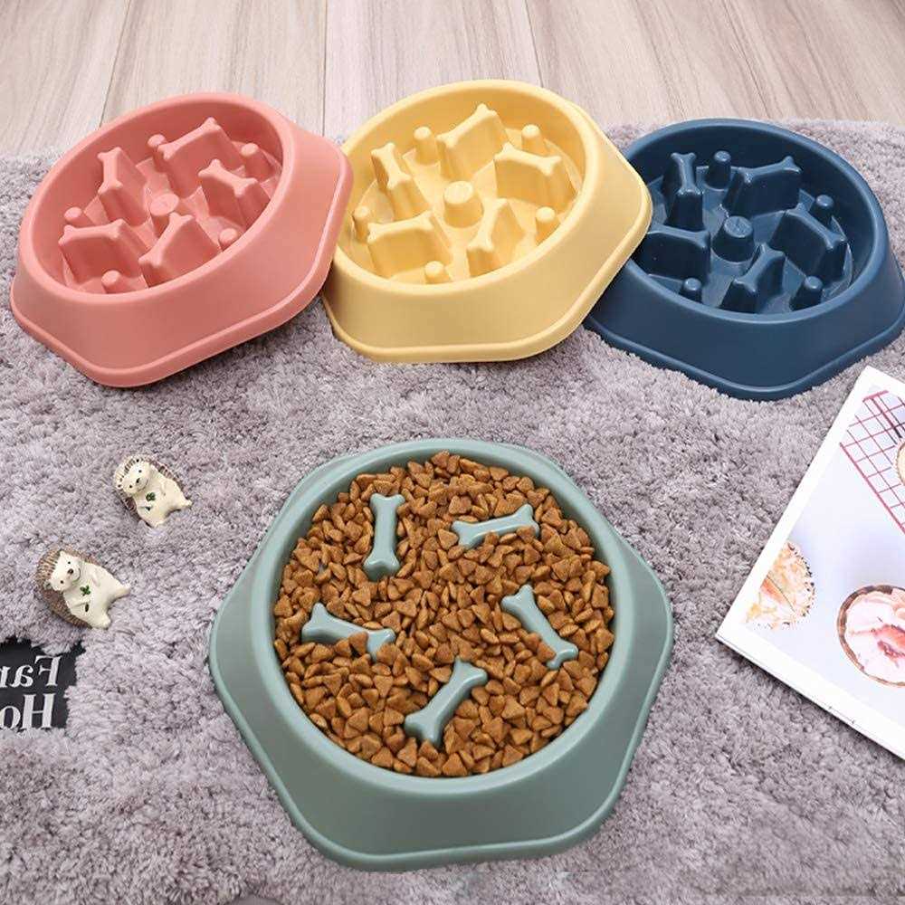 Slow Feeder Non Slip Dog Bowl C866823