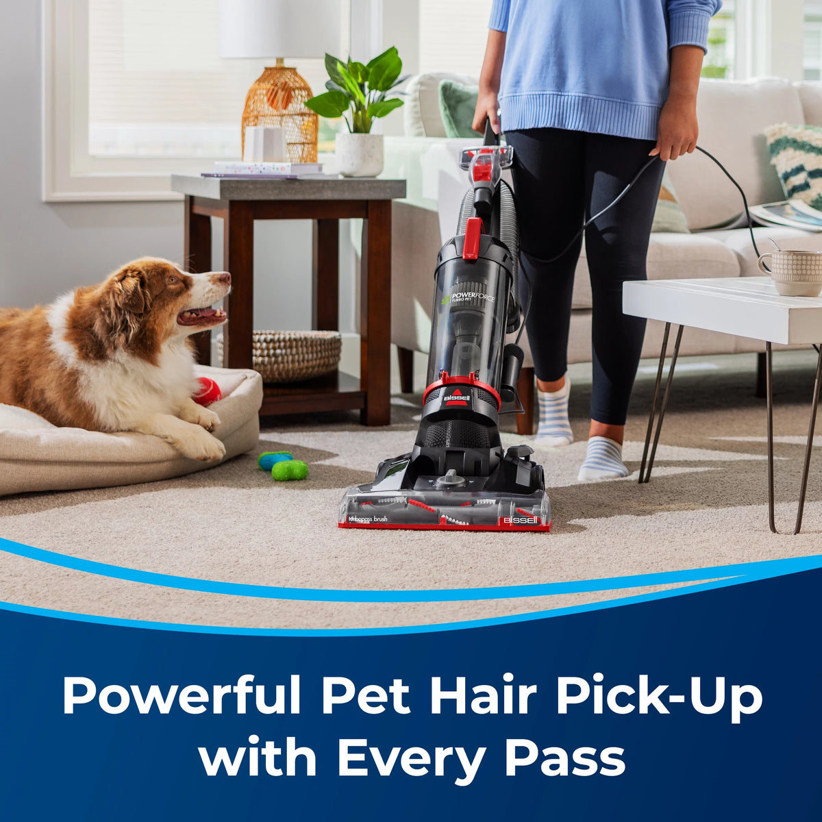 Upright Vacuum D49263
