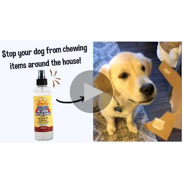 Extra Strength No Chew Bitter Spray H5518