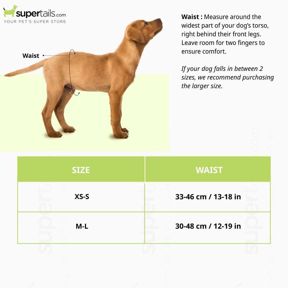 Disposable Male Dog Diapers R75381