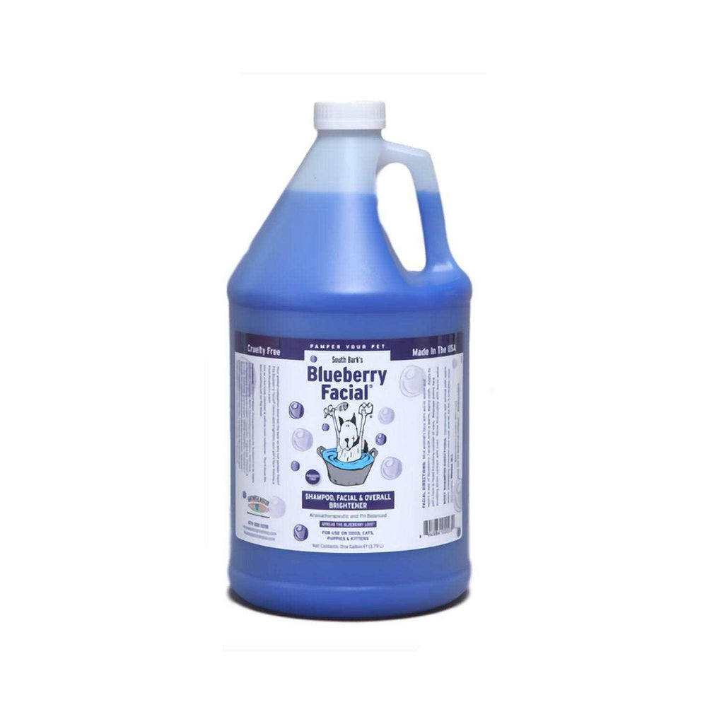 Blueberry Facial Q731826