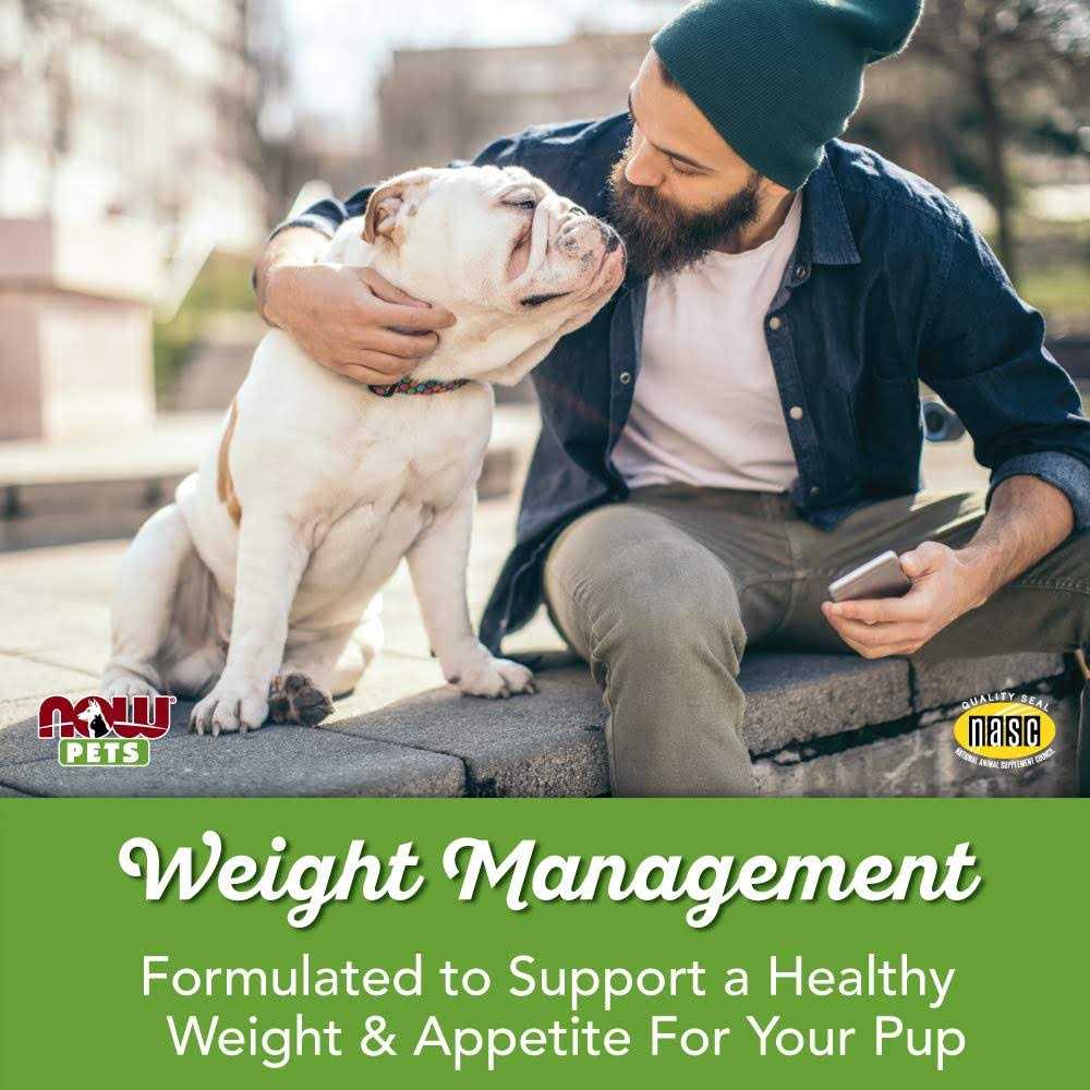 Weight Management for Dogs X6911